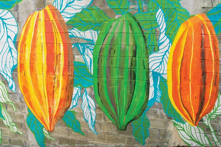 Cacao Art by Susanne Kremer wall art