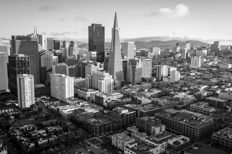 San Francisco Skyline Aerial