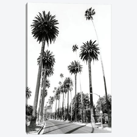 L. A. Palmtrees Canvas Print #SKR1548} by Susanne Kremer Canvas Print