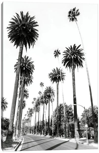 L. A. Palmtrees Canvas Art Print - Los Angeles Art