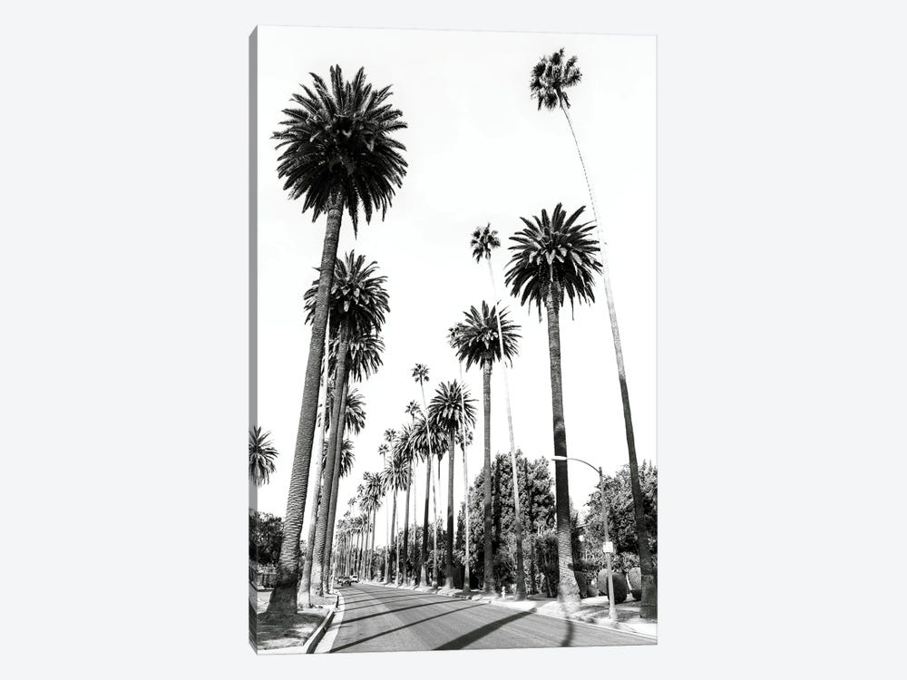 L. A. Palmtrees by Susanne Kremer 1-piece Canvas Artwork