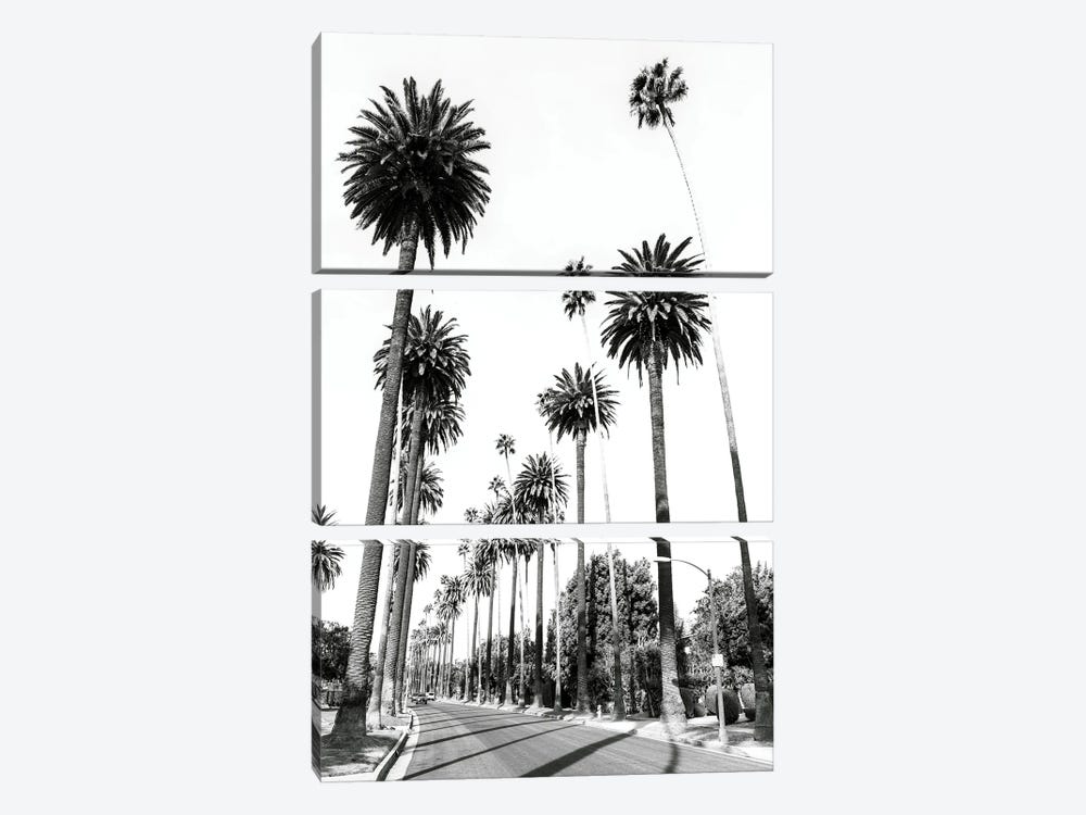 L. A. Palmtrees by Susanne Kremer 3-piece Canvas Artwork