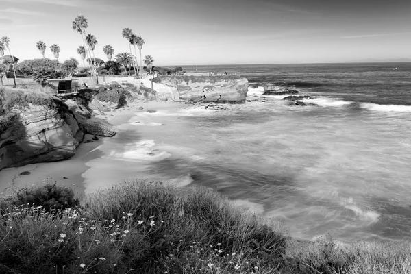 San Diego: La Jolla Coast by Susanne Kremer