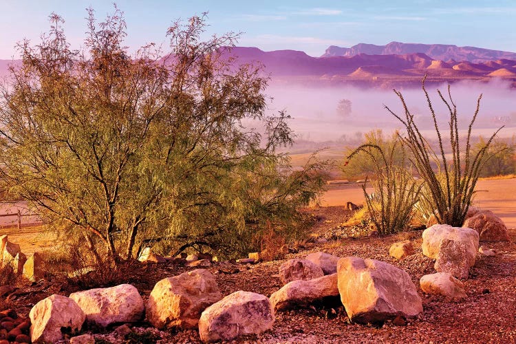 Big Bend Desert 