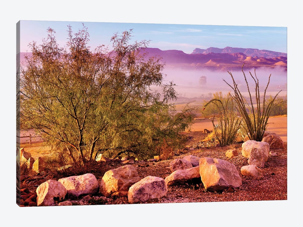 Big Bend Desert  1-piece Canvas Print