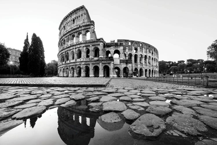 The Colosseums Echo by Susanne Kremer wall art