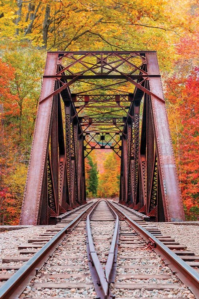 Trains: Fourth Iron Trestle Colorful by Susanne Kremer