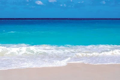 Paradise Island Cabbage Beach  by Susanne Kremer art print