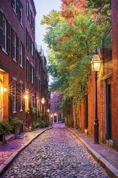 Boston Acorn Night by Susanne Kremer art print