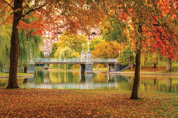 Boston Commons In Fall