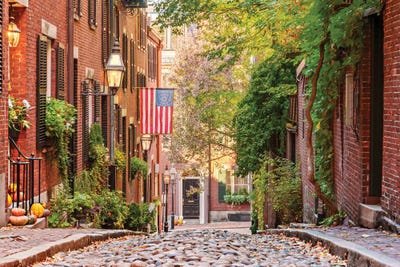 Boston Acorn In Fall by Susanne Kremer art print