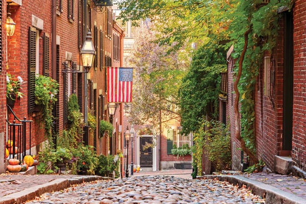 Boston: Boston Acorn In Fall by Susanne Kremer