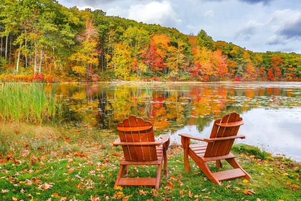 Susanne Kremer: Relax At Moore State Park by Susanne Kremer