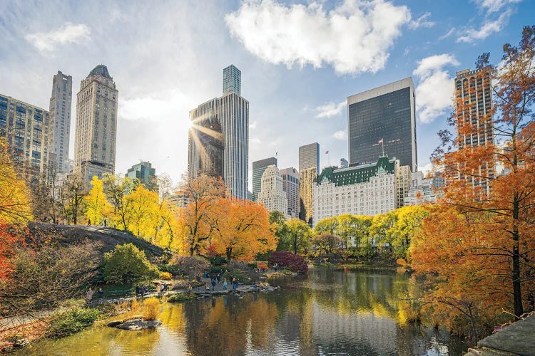 Central Park Views In Fall by Susanne Kremer wall art