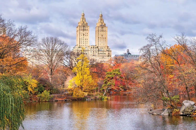 Central Park Fall Mood