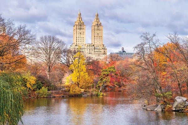 Central Park: Central Park Fall Mood by Susanne Kremer