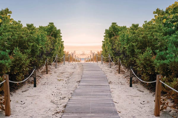 Florida Beaches: Beach Path Miami Beach by Susanne Kremer
