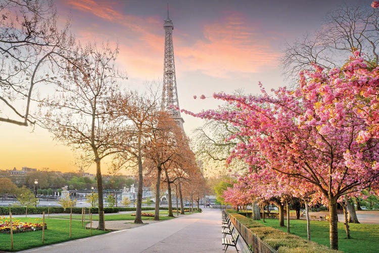 Eiffel Tower With Pink Cherry Blossom by Susanne Kremer wall art