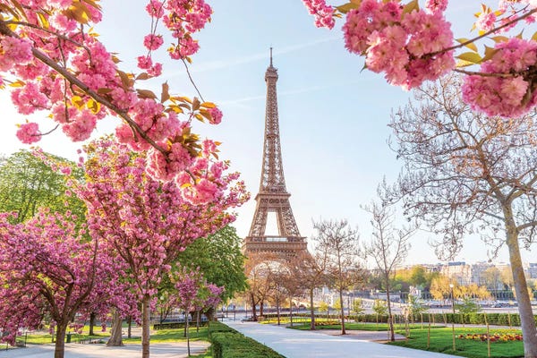 Towers: Eiffel Tower And Pink Cherry Blossom Dream by Susanne Kremer