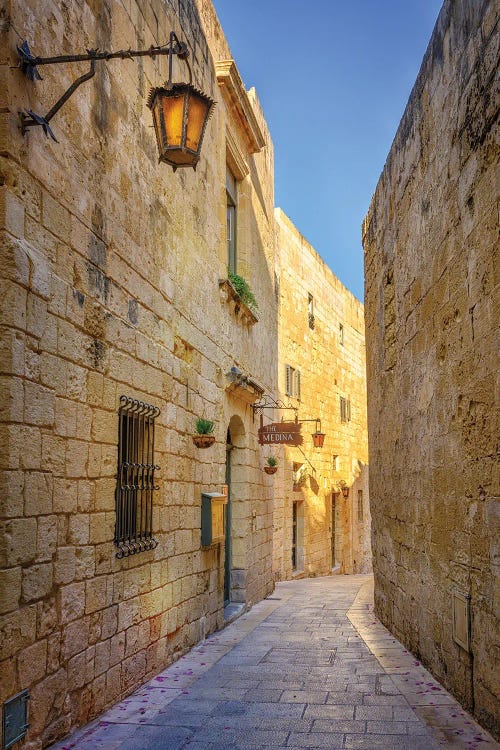 Secret Alley, Malta by Susanne Kremer wall art