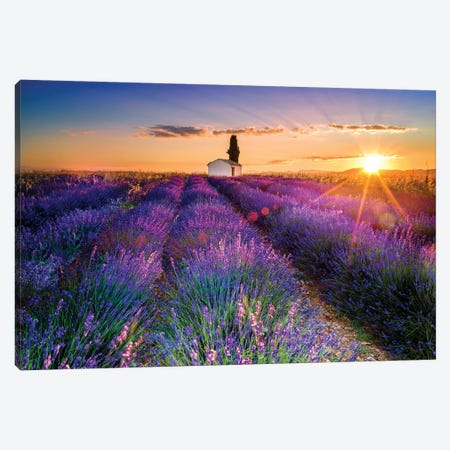 Plateau de Valensole Lavender Field Sunrise I Canvas Print #SKR177} by Susanne Kremer Canvas Artwork