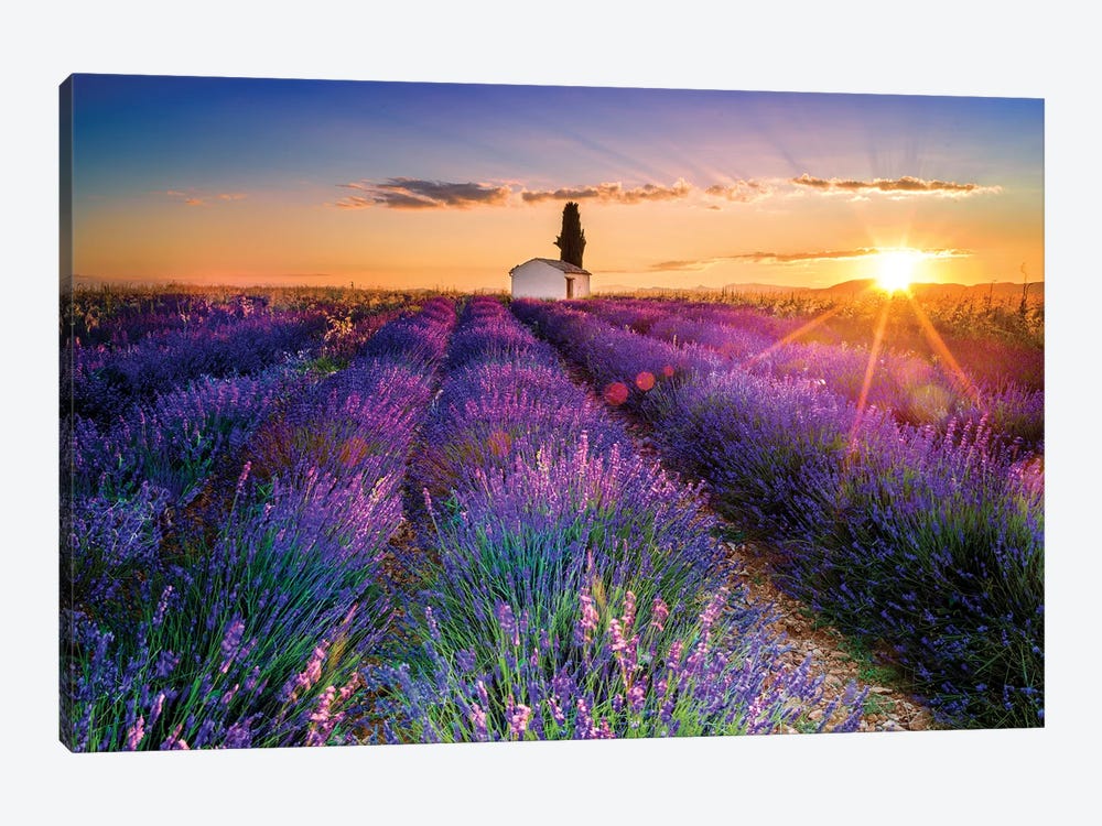 Plateau de Valensole Lavender Field Sunrise I by Susanne Kremer 1-piece Canvas Wall Art