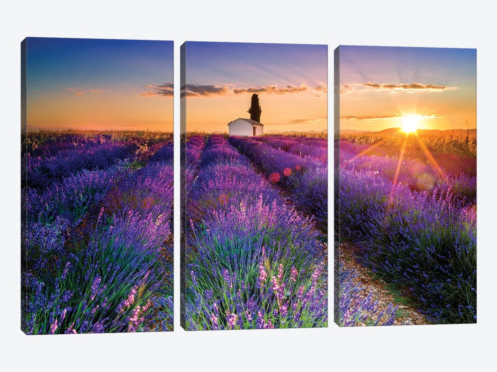 Plateau de Valensole Lavender Field Sunrise I by Susanne Kremer 3-piece Canvas Wall Art