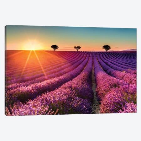 Plateau de Valensole Lavender Field Sunset II Canvas Print #SKR178} by Susanne Kremer Canvas Print