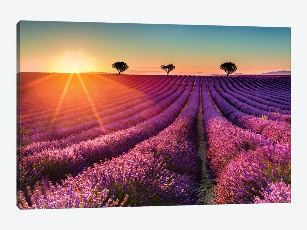 Plateau de Valensole Lavender Field Sunset II by Susanne Kremer 1-piece Art Print