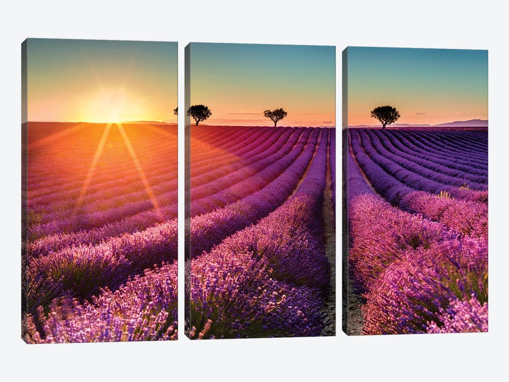 Plateau de Valensole Lavender Field Sunset II by Susanne Kremer 3-piece Canvas Art Print
