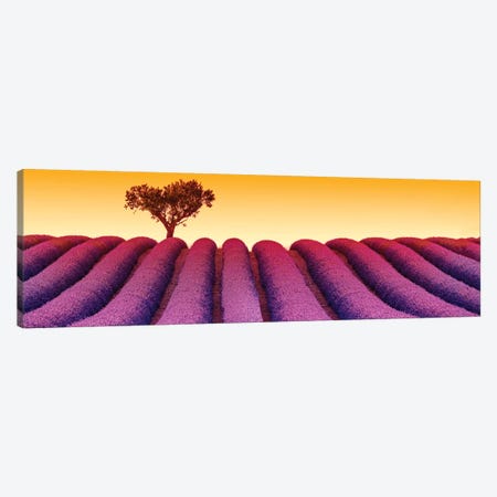 Plateau de Valensole Provence Lavender Field III Canvas Print #SKR179} by Susanne Kremer Art Print