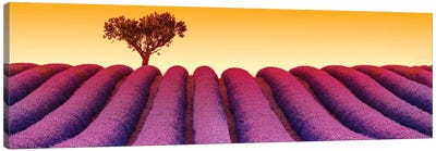 Plateau de Valensole Provence Lavender Field III Canvas Art Print - Provence