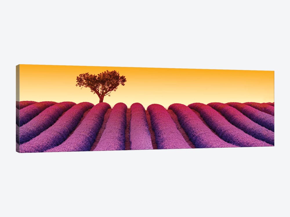 Plateau de Valensole Provence Lavender Field III by Susanne Kremer 1-piece Canvas Artwork