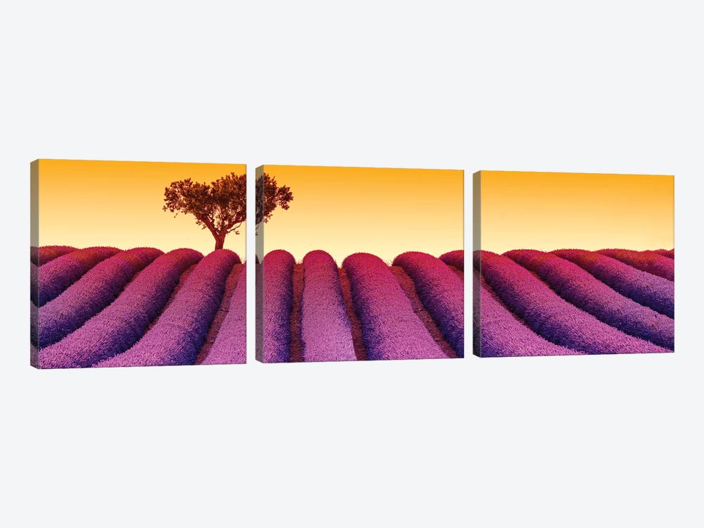 Plateau de Valensole Provence Lavender Field III by Susanne Kremer 3-piece Canvas Wall Art