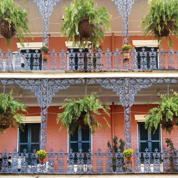 Ferns: Royal Street, French Quarter by Susanne Kremer