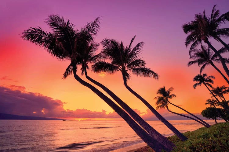 Sunset At Kaanapali Beach  by Susanne Kremer wall art