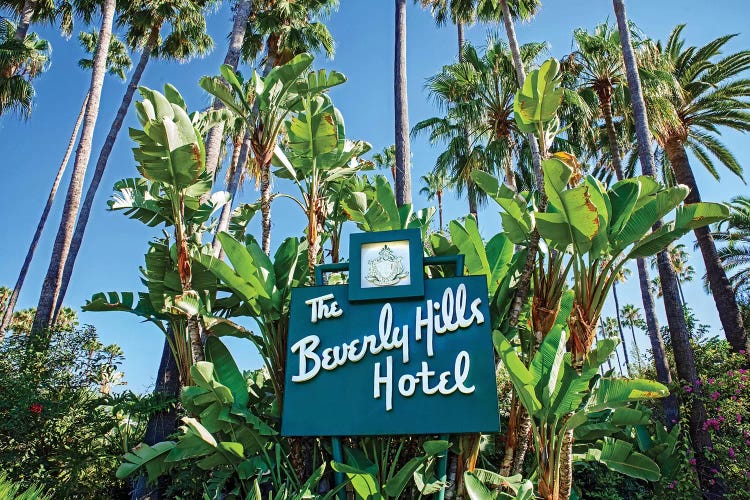 The Beverly Hills Hotel I