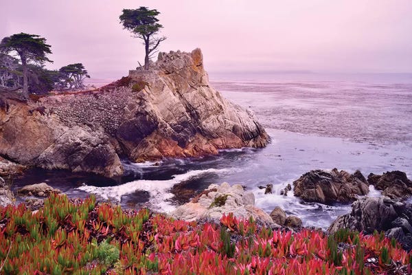 California: The Lone Cypress, Pebble Beach by Susanne Kremer