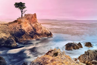The Lone Cypress, Pebble Beach by Susanne Kremer canvas print