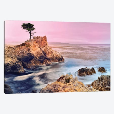 The Lone Cypress, Pebble Beach Canvas Print #SKR246} by Susanne Kremer Canvas Art