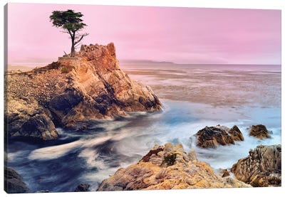 The Lone Cypress, Pebble Beach Canvas Art Print - Hyperreal Photography