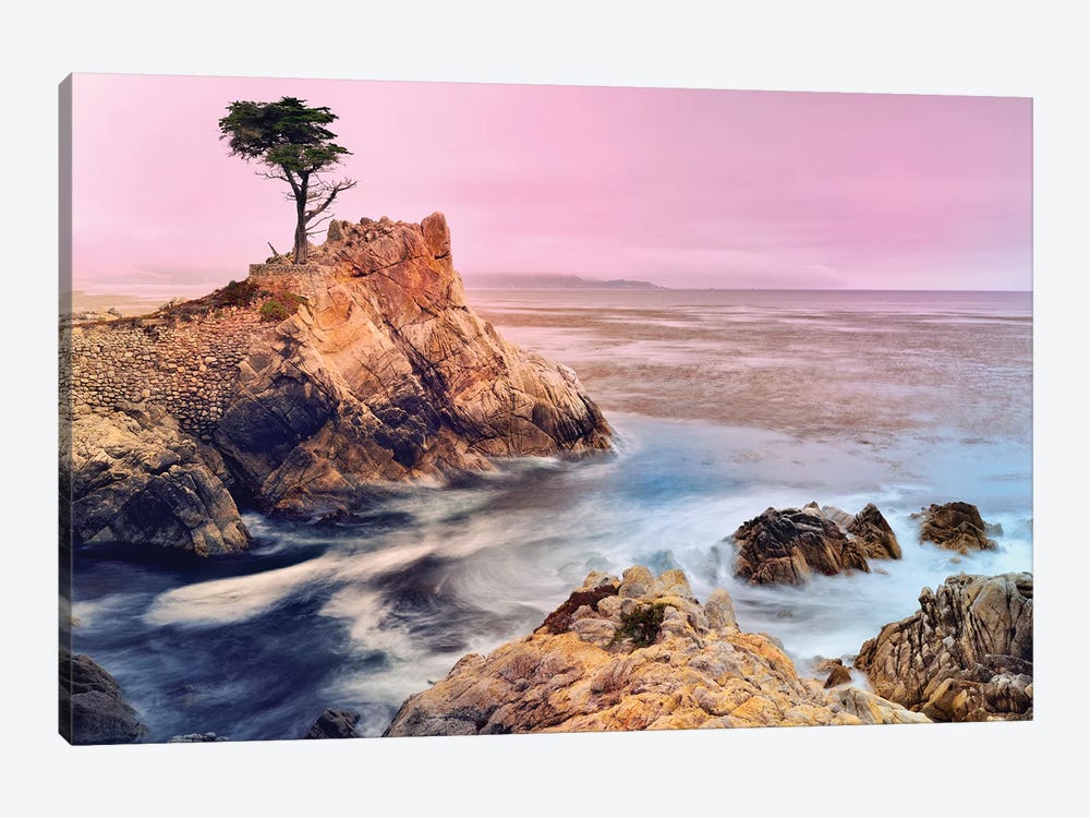 The Lone Cypress, Pebble Beach by Susanne Kremer 1-piece Canvas Art