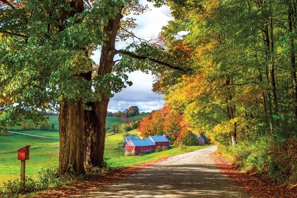 Vermont: Farm In Vermont New England In Autumn by Susanne Kremer