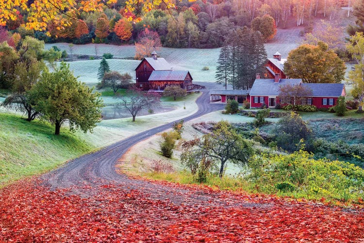 First Cold Morning In Autumn,Farm In Woodstock Vermont New England