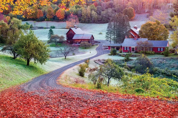 First Cold Morning In Autumn,Farm In Woodstock Vermont New England