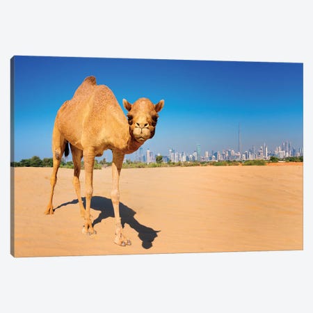 Camel in the Dessert with Dubai Skyline Canvas Print #SKR28} by Susanne Kremer Canvas Artwork