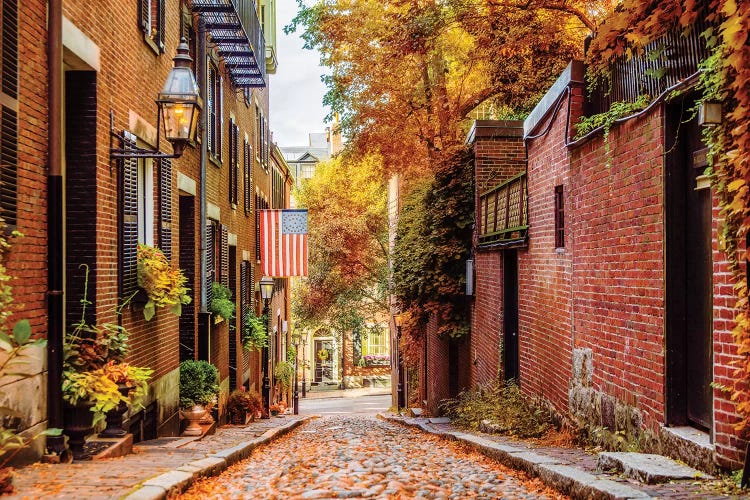 Boston In Autumn by Susanne Kremer wall art