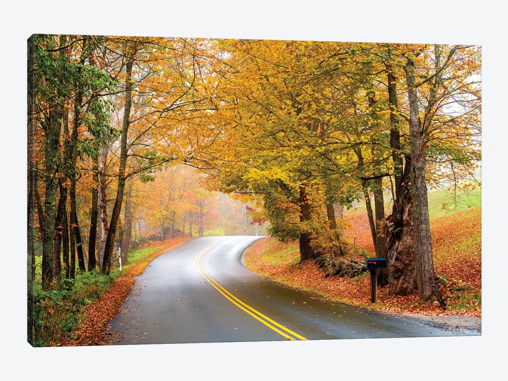 Autumn Road In Vermont With Fall Foliage by Susanne Kremer 1-piece Canvas Print