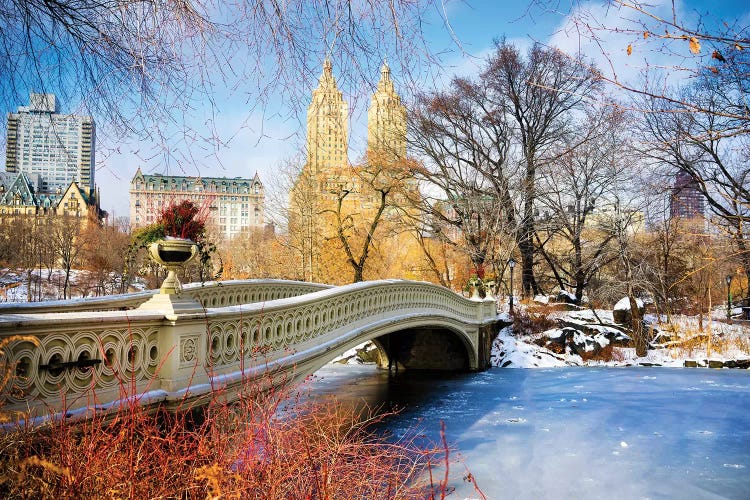 Frozen Central Park Bow Bridge New York City