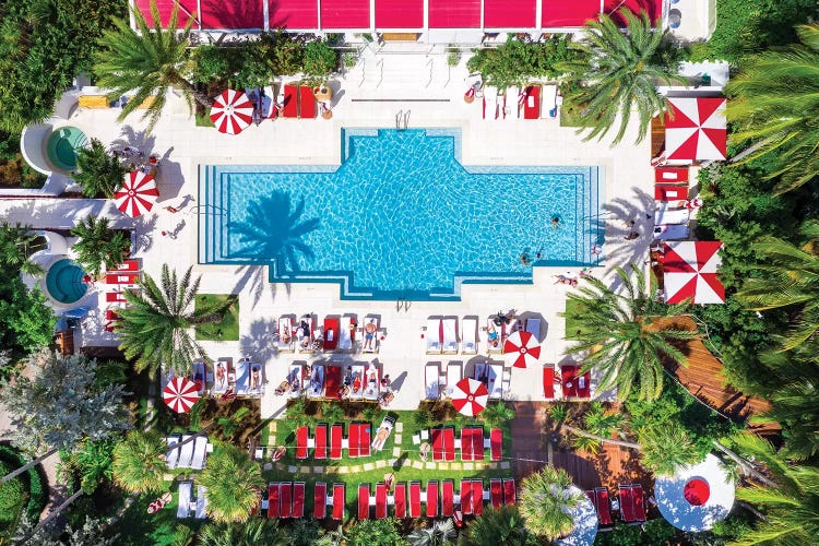 Aerial View Go For A Swim , Miami Beach Pool With Palm Trees ,Florida